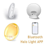 Sunrise Alarm Clock Wake Up Light Clock Sunrise/Sunset Simulation Digital Clock with Night Light FM Radio Desk Clocks