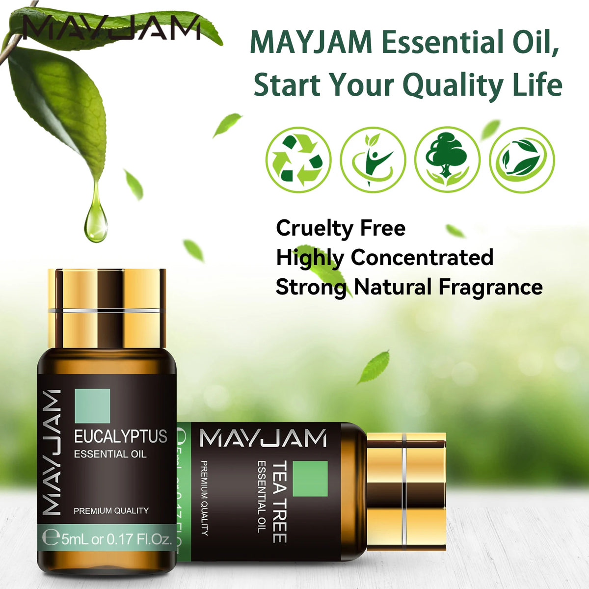 MAYJAM Pure Natural Essential Oils 20pcs Kits Gift Box Sandalwood Lemongrass Lavender Bergamot Eucalyptus Rosemary For Diffuser